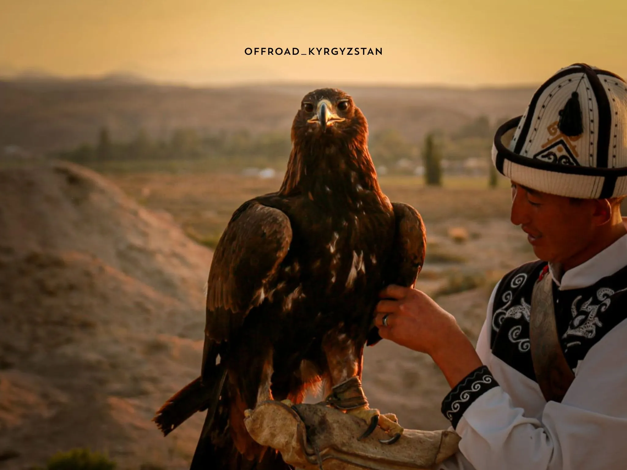 Traditional Kyrgyz eagle hunter holding a golden eagle during a hunting demonstration in Kyrgyzstan