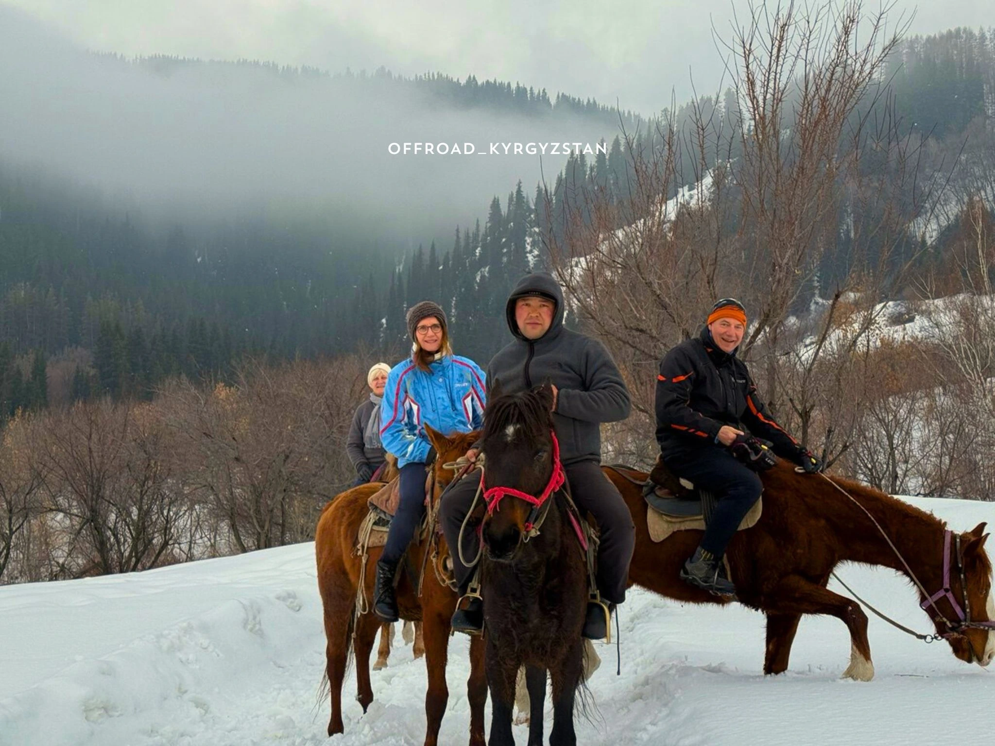 German tourists on a winter horseback expedition, crossing snowy mountain ridges with professional local guides.